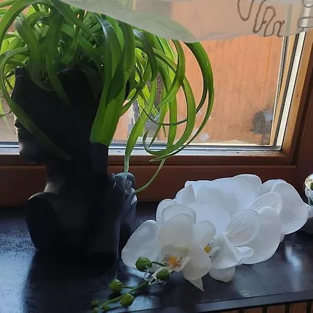 Bergzeit 公寓