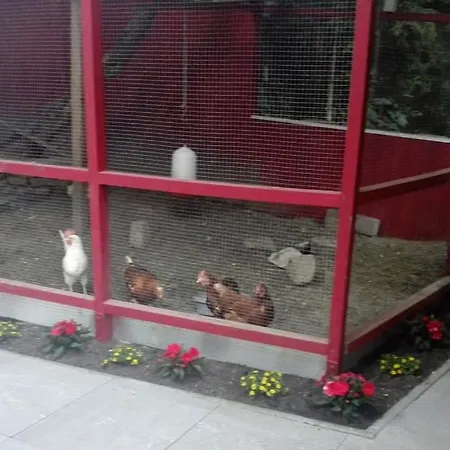 Appartement Bergzeit